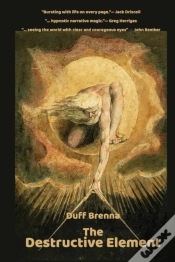 Capa do artigo The Destructive Element