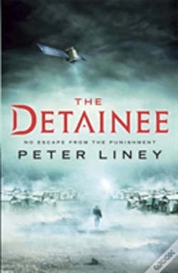 Capa do artigo The Detainee