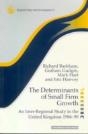 The Determinants Of Small Firm Growth - Preview