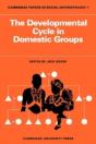 The Developmental Cycle In Domestic Groups - Preview