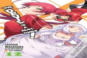 The Devil Is A Part-Timer!, Vol. 12 (Light Novel)