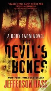 Capa do artigo The Devil