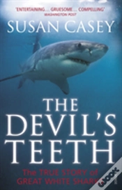 Capa do artigo The Devil