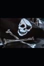 The Devil'S Treasure - Preview