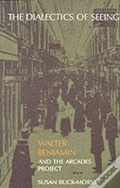 Capa do artigo The Dialectics Of Seeing