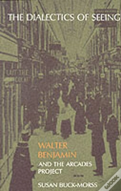Capa do artigo The Dialectics Of Seeing