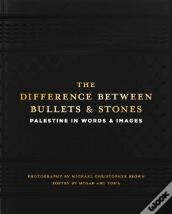 Capa do artigo The Difference Between Bullets And Stones