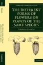 The Different Forms Of Flowers On Plants Of The Same Species - Preview