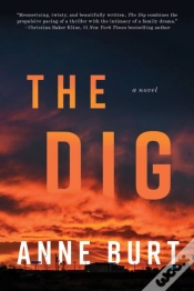 Capa do artigo The Dig