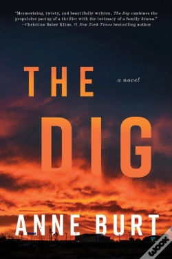 Capa do artigo The Dig