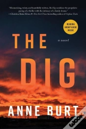 Capa do artigo The Dig
