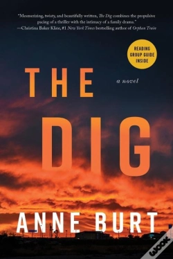 Capa do artigo The Dig