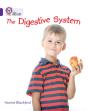 The Digestive System - Preview