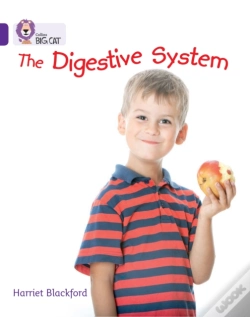Capa do artigo The Digestive System