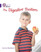 Capa do artigo The Digestive System