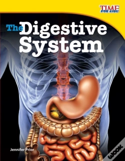 Capa do artigo The Digestive System