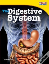 Capa do artigo The Digestive System