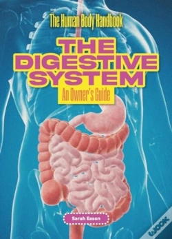 Capa do artigo The Digestive System