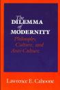 The Dilemma Of Modernity - Preview