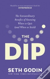 Capa do artigo The Dip