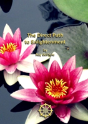 The Direct Path To Enlightenment - Preview