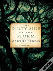 Capa do artigo The Dirty Side Of The Storm