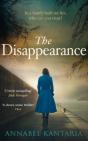 The Disappearance - Preview
