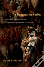 The Disappearing Mestizo