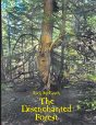 The Disenchanted Forest - Preview