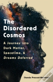 Capa do artigo The Disordered Cosmos