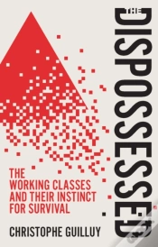 Capa do artigo The Dispossessed