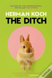 Capa do artigo The Ditch