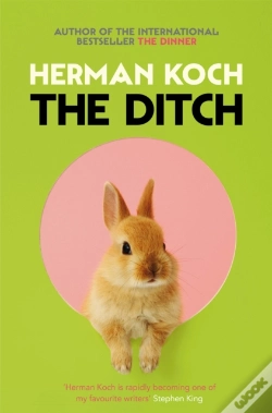 Capa do artigo The Ditch