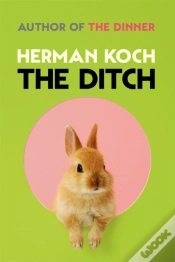 Capa do artigo The Ditch