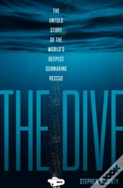 Capa do artigo The Dive
