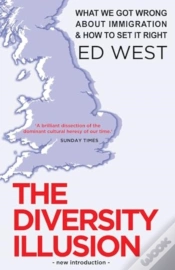 Capa do artigo The Diversity Illusion