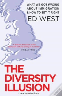 Capa do artigo The Diversity Illusion