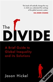 Capa do artigo The Divide