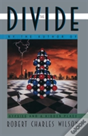 Capa do artigo The Divide
