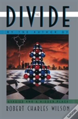 Capa do artigo The Divide