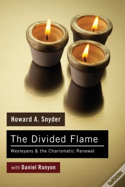 Capa do artigo The Divided Flame