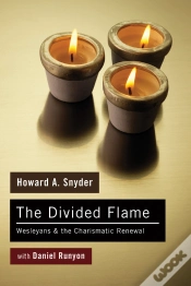 Capa do artigo The Divided Flame