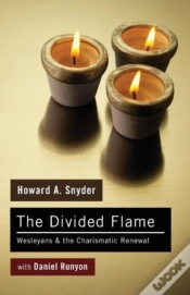 Capa do artigo The Divided Flame
