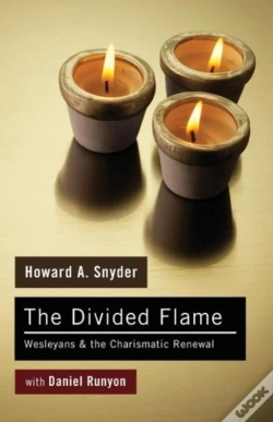 Capa do artigo The Divided Flame