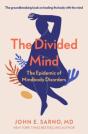 The Divided Mind - Preview