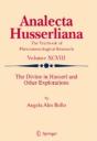 The Divine In Husserl And Other Explorations - Preview