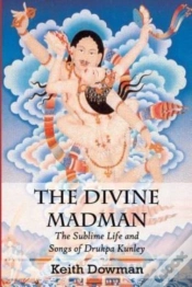 Capa do artigo The Divine Madman
