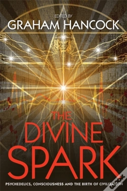 Capa do artigo The Divine Spark