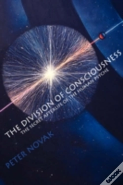 Capa do artigo The Division Of Consciousness