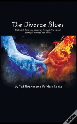 Capa do artigo The Divorce Blues